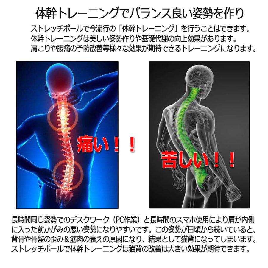 Life Ideas ヨガポール グリーン エクササイズ ストレッチ フォーム