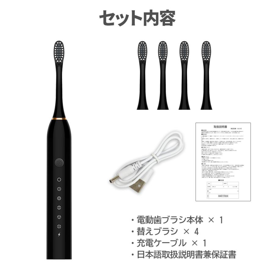 電動歯ブラシ本体 ブラック 6モード