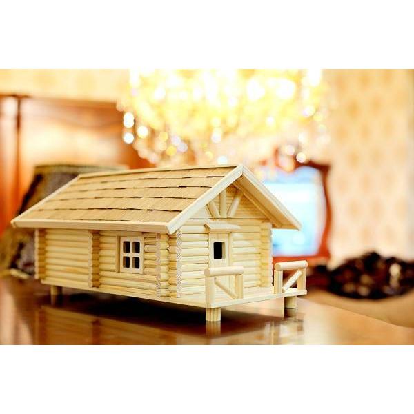 Life Ideas 木製ログハウスキット 小物入れ 日本語組立説明書付き