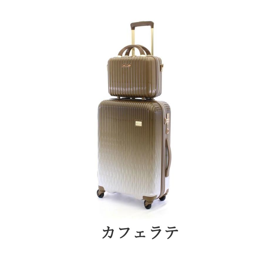 Siffler スーツケース 機内持込 軽量 大容量 抗菌 43L キャリー Siffler スーツケース 機内持込 軽量 大容量 抗菌 43L キャリー