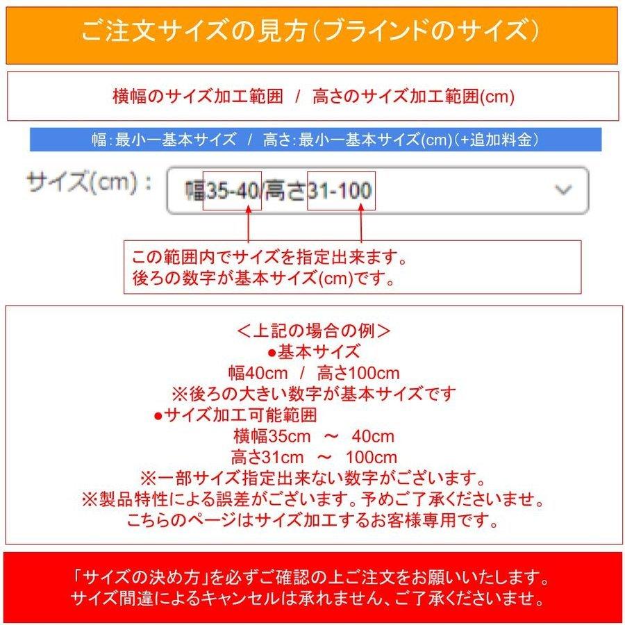 ブラインド ブラインドカーテン オーダー プラスチックブラインド 幅36〜200cm 高さ31〜200cm スラット幅25mm カーテンレール取付OK オーダーブラインド | EーBLIND | 20