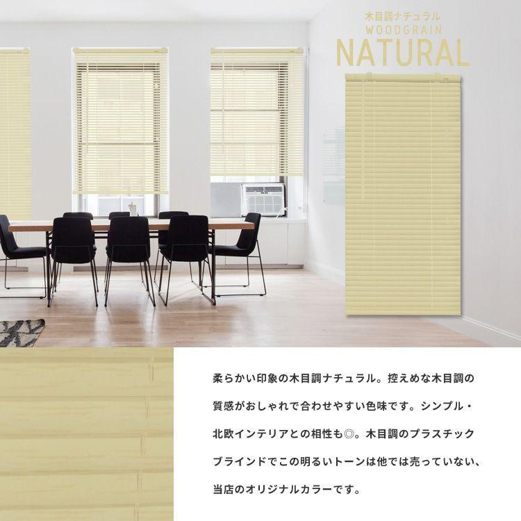 ブラインド プラスチック 幅60cm 高さ150cm 既製サイズ カーテンレール 取り付け可能 賃貸 Pvcブラインド Pb イージー ブラインド 通販 Yahoo ショッピング