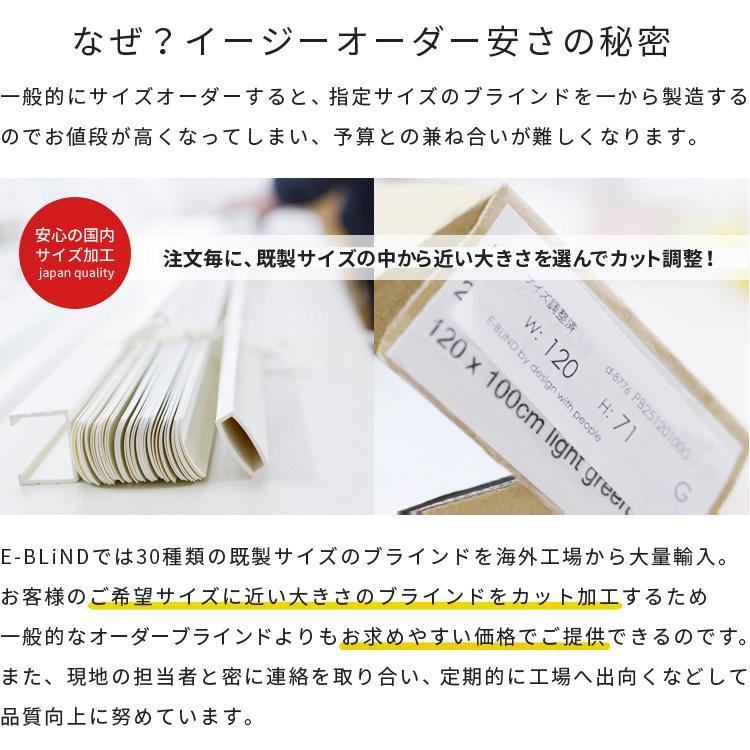 EーBLIND ブラインド ブラインドカーテン プラスチック EーBLIND ブラインド ブラインドカーテン プラスチック