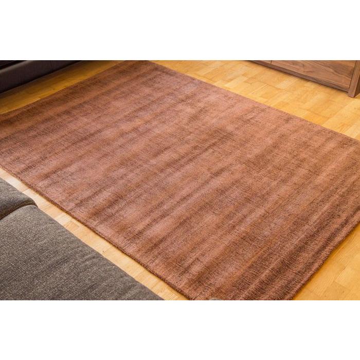 ラグ カーペット 秋 冬 140x200 手織り(手機) 絨毯 話題のSDGs素材 ヴィスコース 人工 シルク DYNASTY BORDER おしゃれ ブラウン リビング 寝室 オールシーズン | EーBLIND | 01