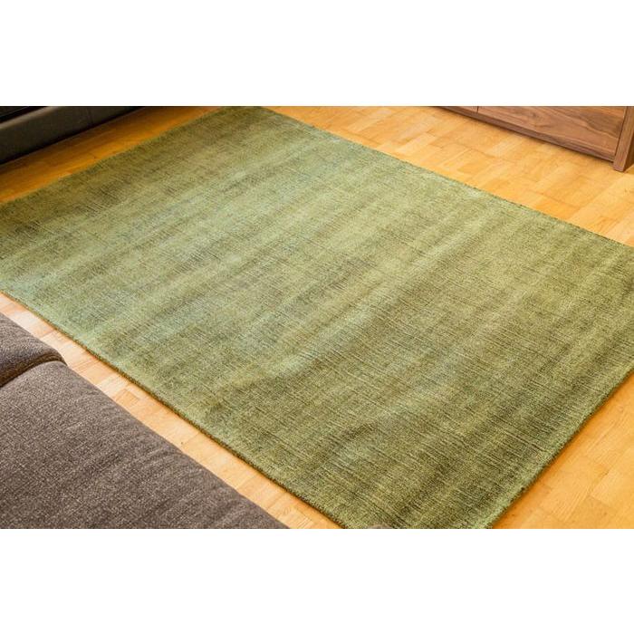 ラグ ラグマット 約2.5畳 160x230cm グリーン 手織り(手機) 絨毯 ヴィスコース DYNASTY ANTIQUE モダン | EーBLIND | 01