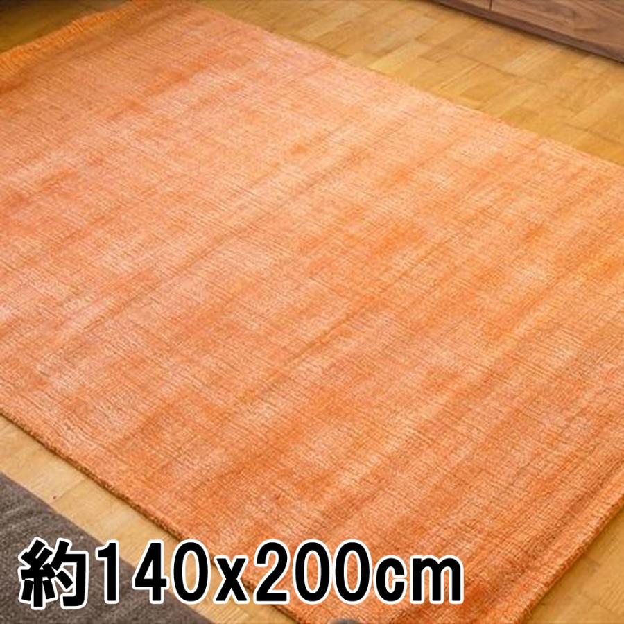 EーBLIND（イージーブラインド） ラグ カーペット 秋 冬 140x200