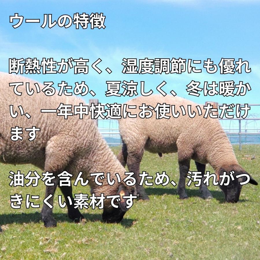 ラグ ギャッベ 60x90 高級手結び 秋 冬 快適 ウール ハンドノット GABBEH 座布団 チェアパッド おしゃれ オールシーズン 調湿機能 絨毯 柔らかい 暖かい | EーBLIND | 35