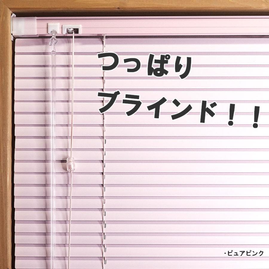 立川機工 ブラインド アルミ つっぱり耐水仕様・フッ素コート