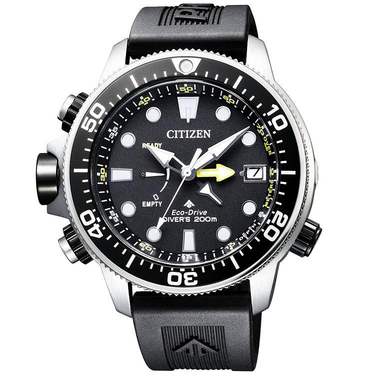 PROMASTER プロマスター シチズン CITIZEN エコ・ドライブ 延長バンド 