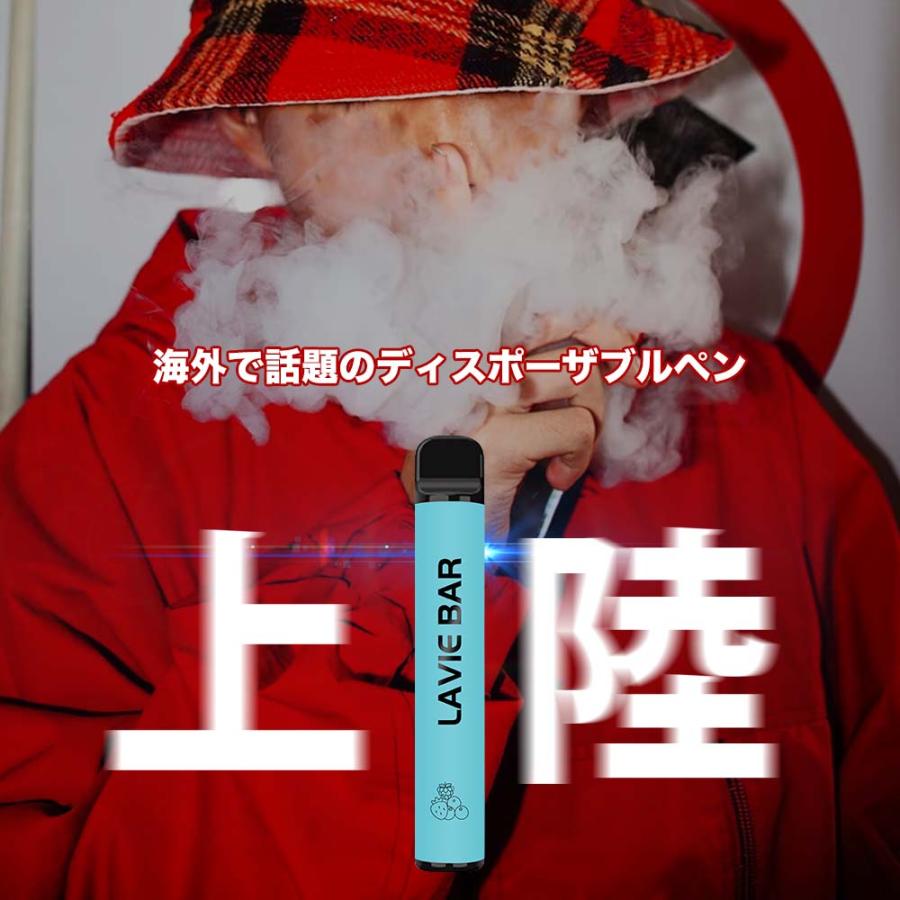 10本セット シーシャ 持ち運び ポケット 電子タバコ 使い捨て ベイプ