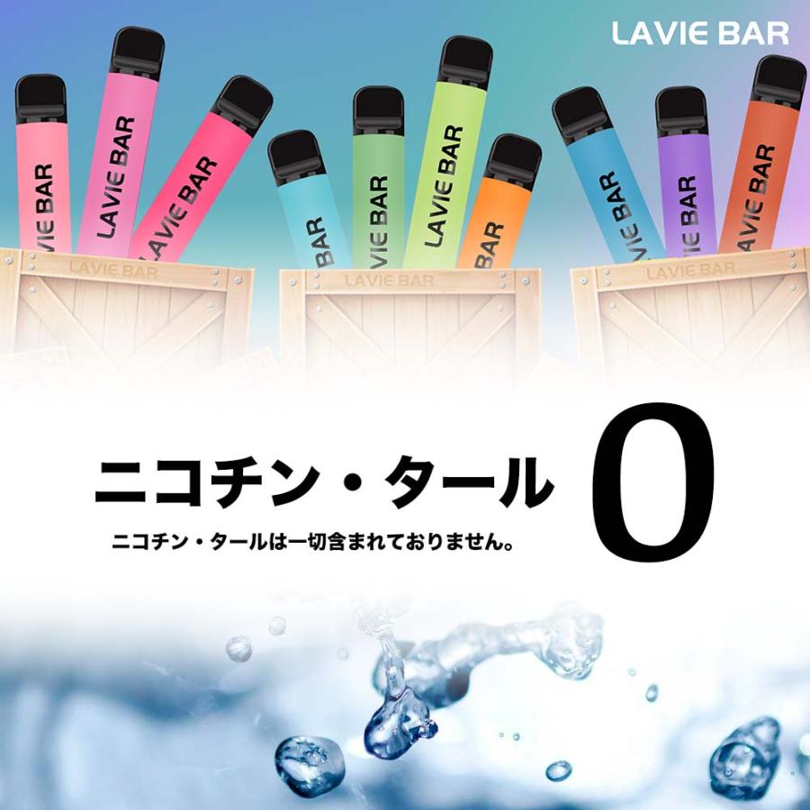 10本セット シーシャ 持ち運び ポケット 電子タバコ 使い捨て ベイプ