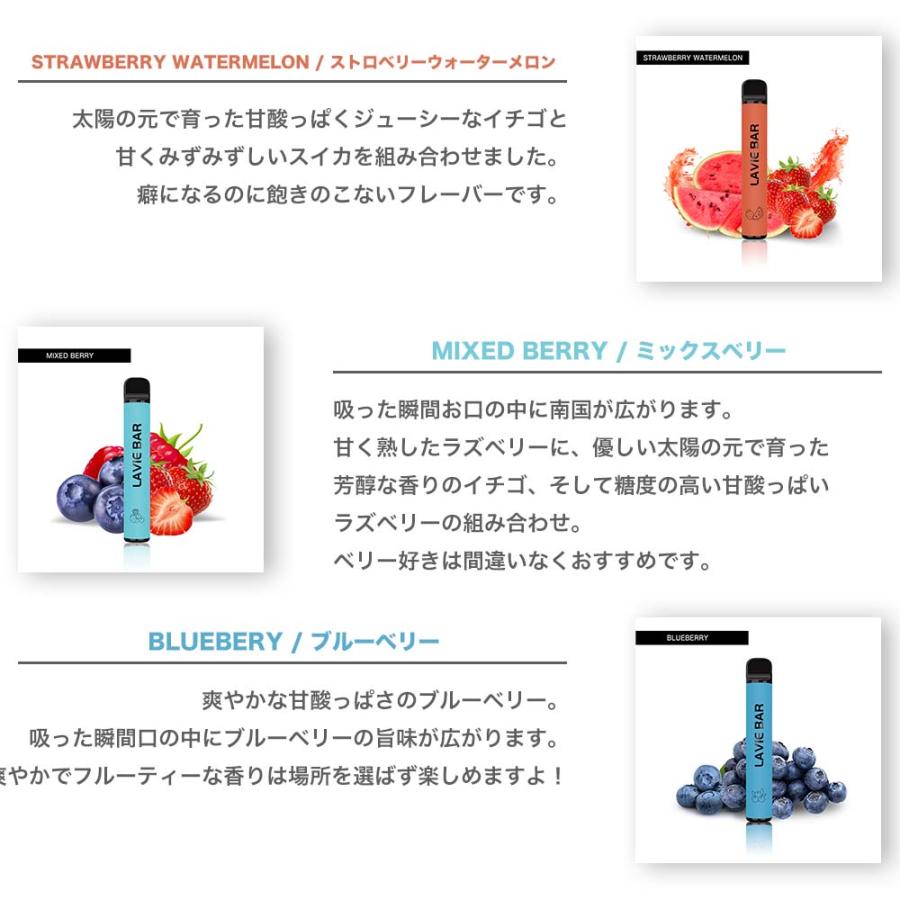 10本セット シーシャ 持ち運び ポケット 電子タバコ 使い捨て ベイプ