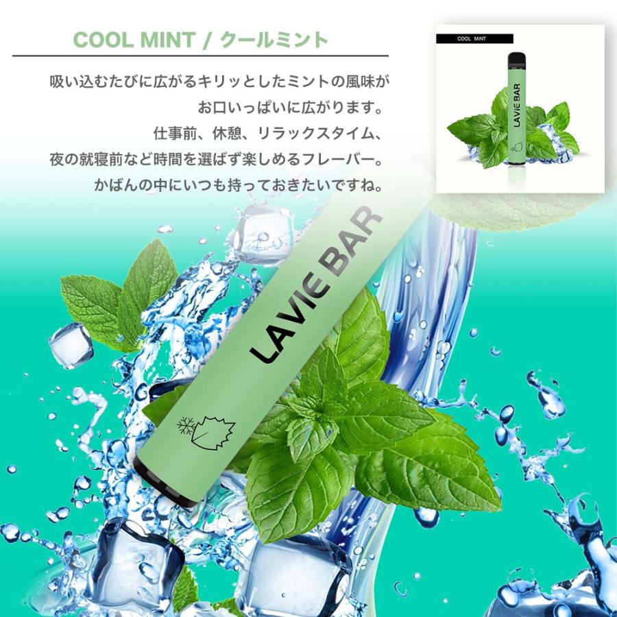 10本セット シーシャ 持ち運び ポケット 電子タバコ 使い捨て ベイプ