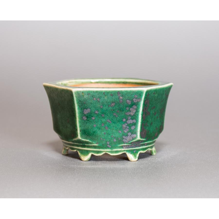 ミニ盆栽鉢 織部釉六角盆栽鉢 國井正子盆栽鉢 小さな鉢 P0318 P0318 E 盆栽 ヤフー店 通販 Yahoo ショッピング