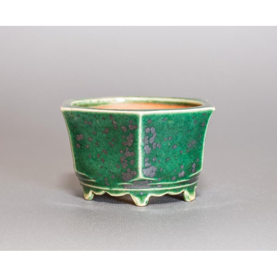 ミニ盆栽鉢 織部釉六角盆栽鉢 國井正子盆栽鉢 小さな鉢 P0318 P0318 E 盆栽 ヤフー店 通販 Yahoo ショッピング