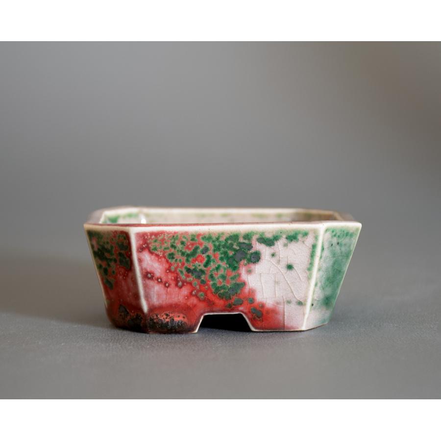 ミニ盆栽鉢 織部釉長方盆栽鉢 國井正子盆栽鉢 小さな鉢 P0592 P0592 E 盆栽 ヤフー店 通販 Yahoo ショッピング