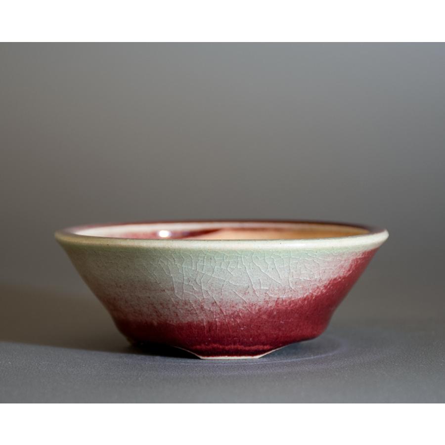 盆栽鉢　桑津香石　絵鉢　正方形　菖蒲　椿　小品盆栽 盆栽鉢 桑津香石 絵鉢 正方形 菖蒲 椿 小品盆栽