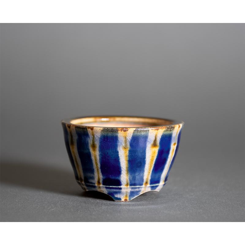 ミニ盆栽鉢 下絵付透明釉丸盆栽鉢 國井正子盆栽鉢 小さな鉢 盆栽