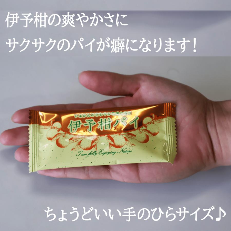 あいあいさん 専用品。 熨斗付き】あいこちゃんギフト サバ・まぐろセット 9缶入り | 伊藤食品