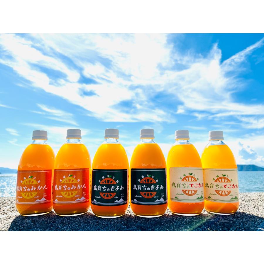 株)丸大青果 島育ち ストレートジュース 500ml 3種 4本 12本セット
