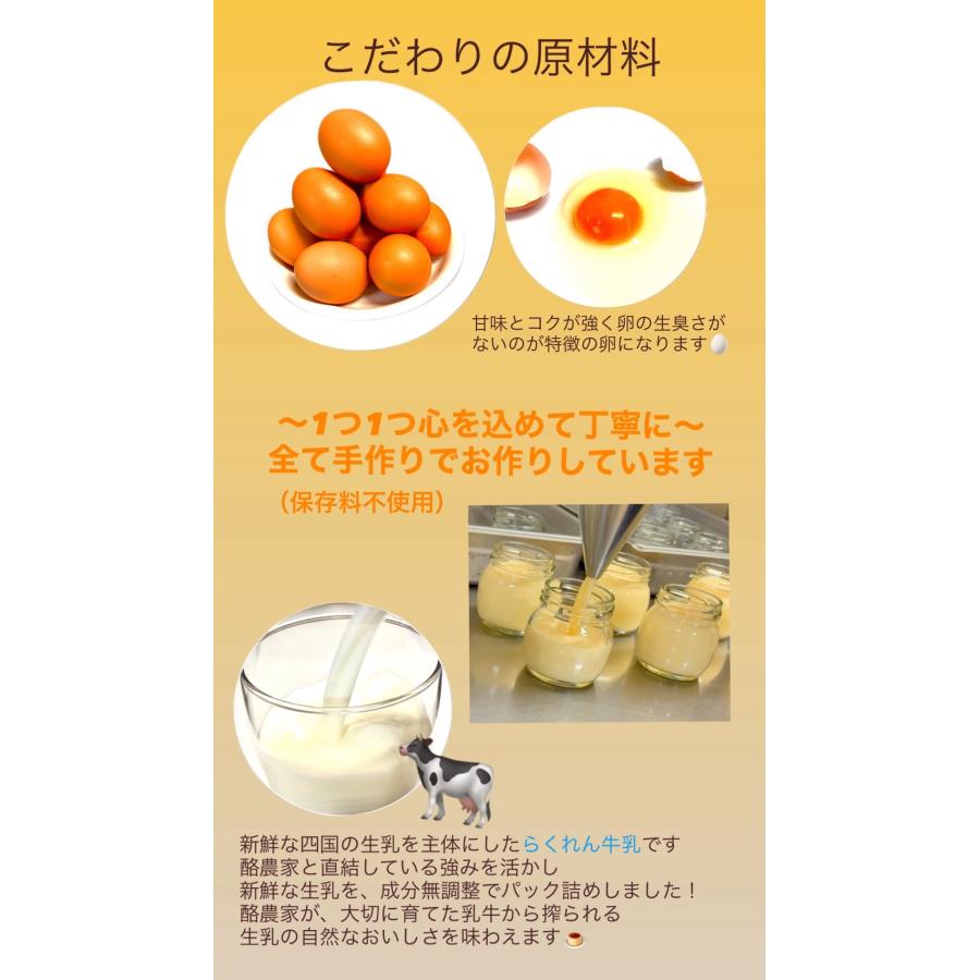 極生ぷりん専門店ふじ 極生ぷりん選べる6点ギフトセット 愛媛 プリン