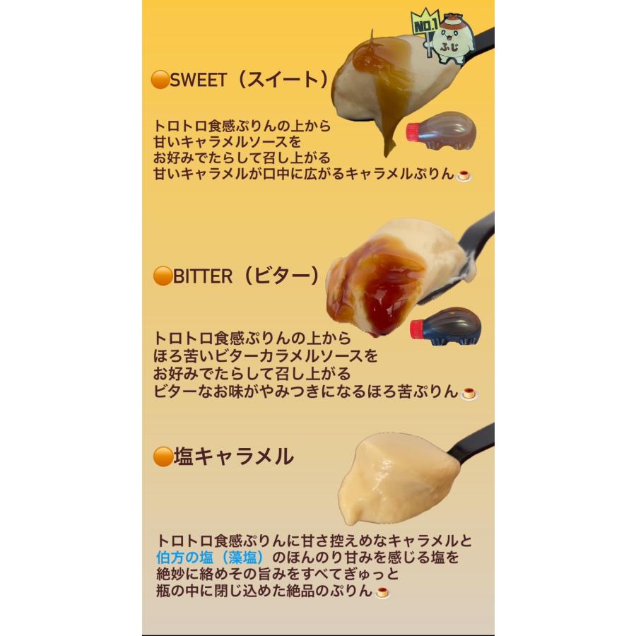 極生ぷりん専門店ふじ 極生ぷりん選べる6点ギフトセット 愛媛 プリン