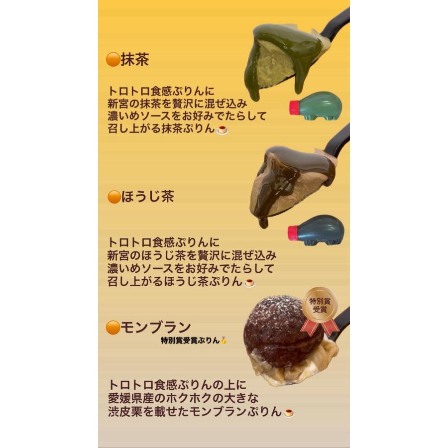 極生ぷりん専門店ふじ 極生ぷりん選べる6点ギフトセット 愛媛 プリン