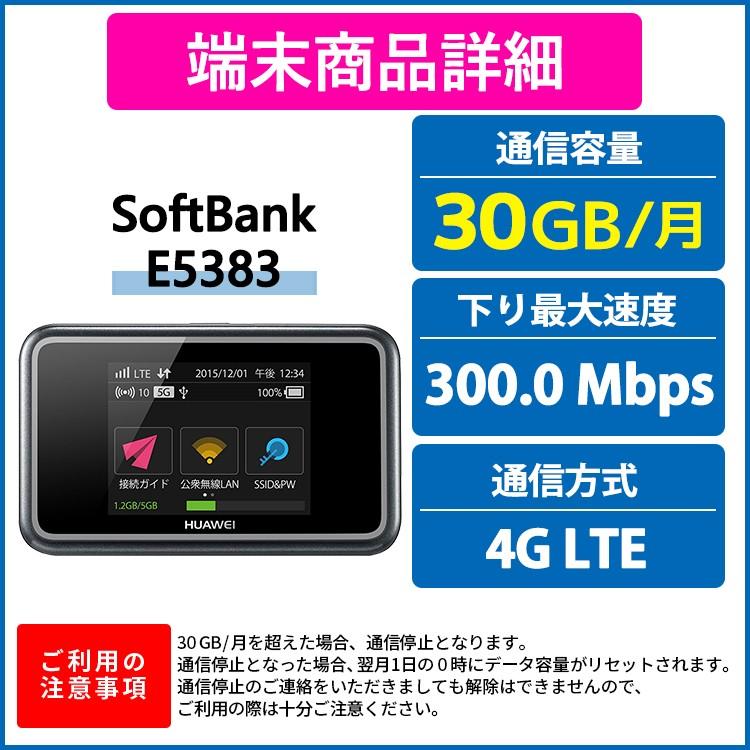 春先取りの レンタルwifi E53 ポケットwifi ソフトバンク Softbank 専用 国内 90日 モデル 30gb レンタル Wifi 往復送料無料 Cat6対応 高速通信 Lte Wifiレンタル 一時帰国 入院 出張 ポケット テレワーク 在宅勤務 入院 家電 Pc Www Solidarite Numerique Fr