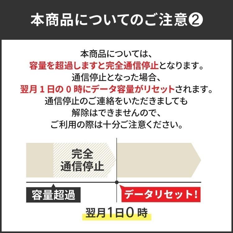 ポケットwifi レンタル 1ヵ月 30GB レンタルwifi 60日 wifi レンタル 60日 au FS030W｜e-ca-web｜03