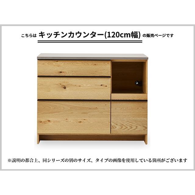 NIPPONAIRE 関家具 正規代理店 キッチンカウンター 幅120cm 食器棚