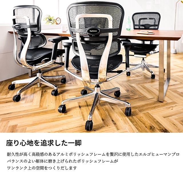 エルゴヒューマン（Ergohuman） 2025年新型 レビュー特典あり プロ2