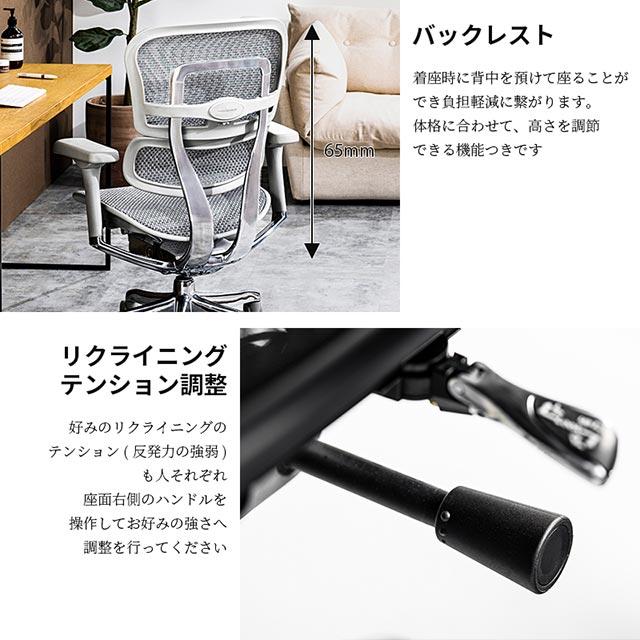 エルゴヒューマン（Ergohuman） 2025年新型 レビュー特典あり プロ2
