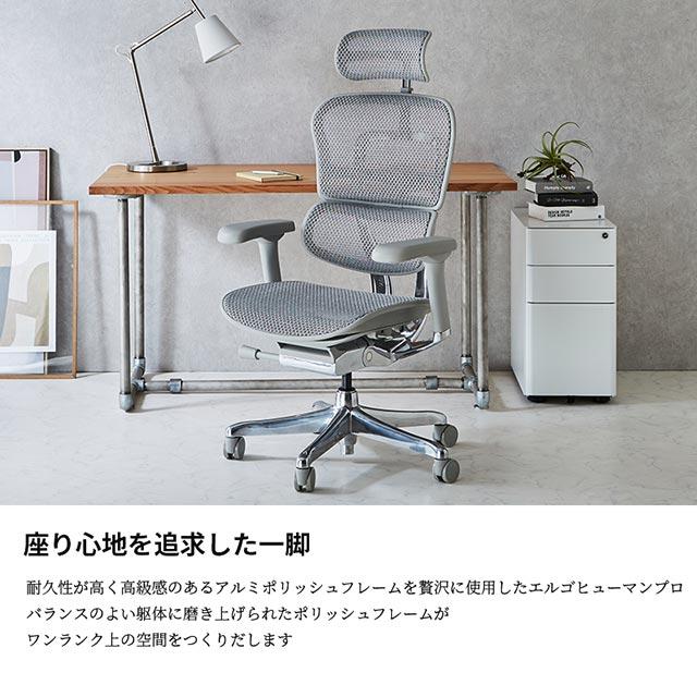 エルゴヒューマン（Ergohuman） 2025年新型 レビュー特典あり 組立設置