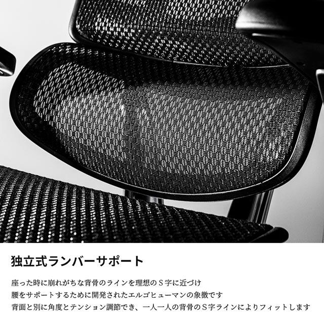 エルゴヒューマン（Ergohuman） 2025年新型 レビュー特典あり 組立設置