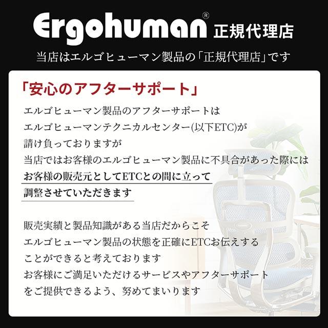 新型 レビュー特典あり エルゴヒューマン プロ2 Ergohuman Pro2 在宅ワーク ハイタイプ EHP2-HAM 関家具 正規代理店｜e-casa｜20