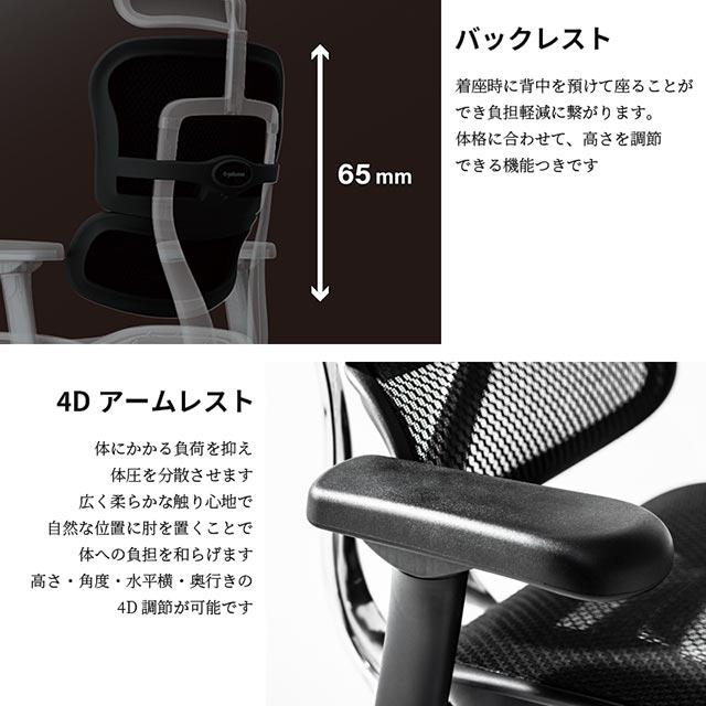 エルゴヒューマン（Ergohuman） レビュー特典あり プロ2 Ergohuman