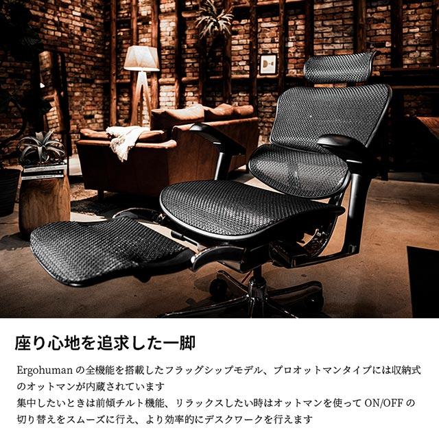 エルゴヒューマン（Ergohuman） 2025年新型 レビュー特典あり 組立設置