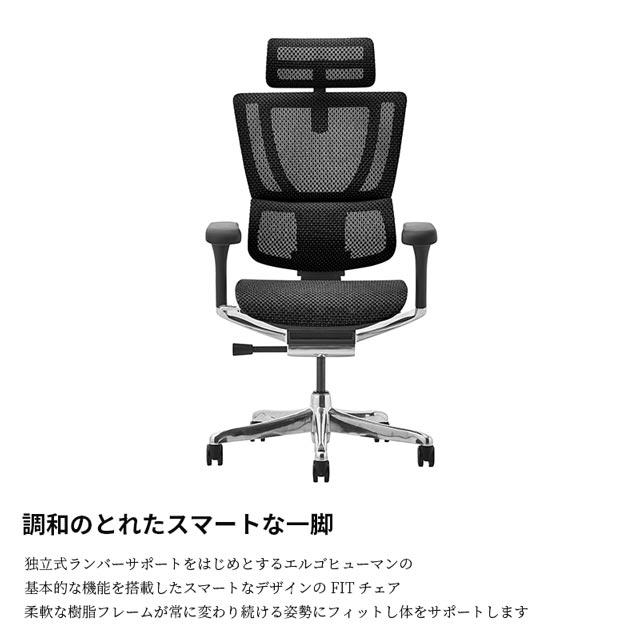 エルゴヒューマン（Ergohuman） フィット2 Ergohuman FIT2 オットマン 