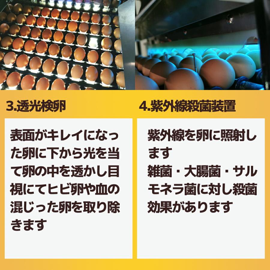 白卵 Lサイズ 150個（約10Kg）+補償 送料無料 大きな卵 鶏卵 お得 九州産 生食用 お中元 お歳暮 破損補償入り｜e-chikujo｜06
