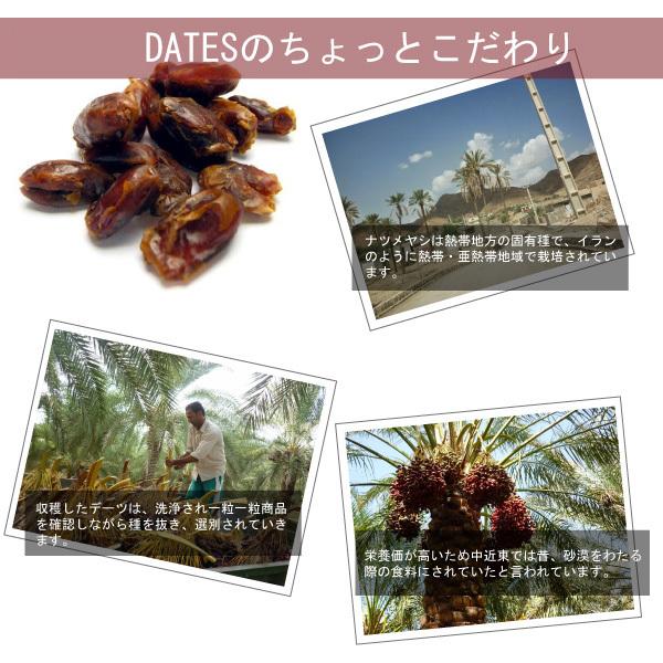 デーツ 900g ドライデーツ 新物入荷 イラン産 種なし 無添加 砂糖不使用 サイヤー デーツ ナツメヤシ ドライフルーツ おやつ 美容 効果 栄養 業務用 Food19 E Collect 通販 Yahoo ショッピング