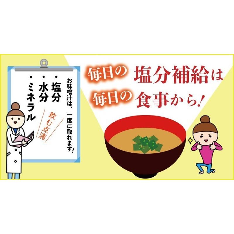 味噌汁 50食 アソートセット みそ汁 生タイプ インスタント 即席 全5