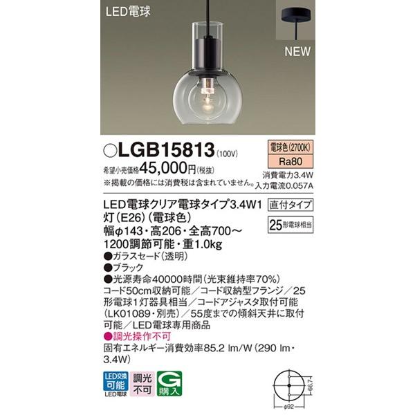Panasonic（パナソニック） ペンダントライト ブラック φ143 LED（電球