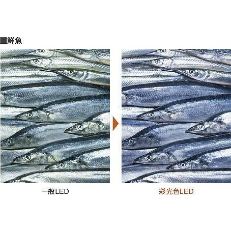 NSN67881WK パナソニック ユニバーサルダウンライト ホワイト LED（3500K） 中角の画像