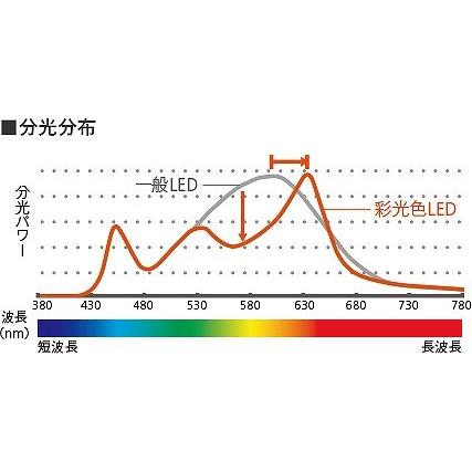 NSN67881WK パナソニック ユニバーサルダウンライト ホワイト LED（3500K） 中角の画像