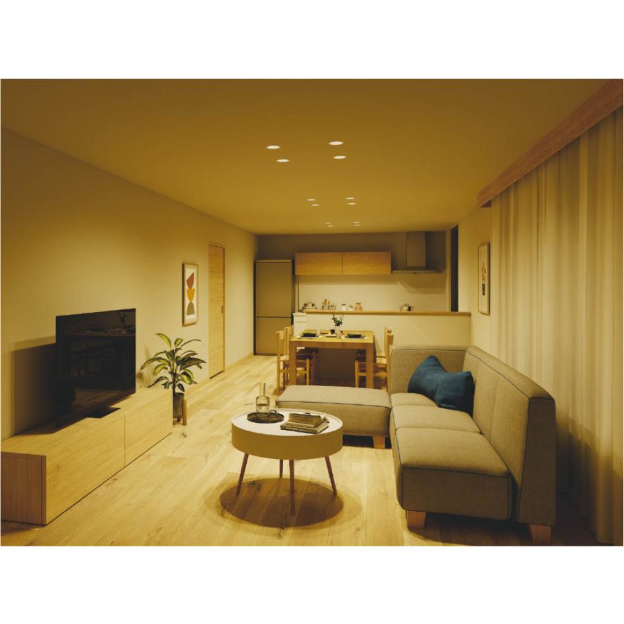 コイズミ照明 AD7301W27 コイズミ 軒下用ダウンライト ホワイト