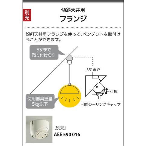 コイズミ照明 - AP52309 コイズミ シャンデリアともし火 LED(白熱電球色)