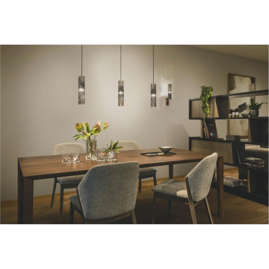 コイズミ ペンダントライト照明　レール専用 LED 2セット コイズミ照明 ペンダントライト AP54858 温白色 LED プラグ