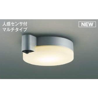 シーリングライト KOIZUMI AU 50481 LED 2700K コイズミ照明 AU50481 コイズミ 軒下用シーリングライト シルバー LED
