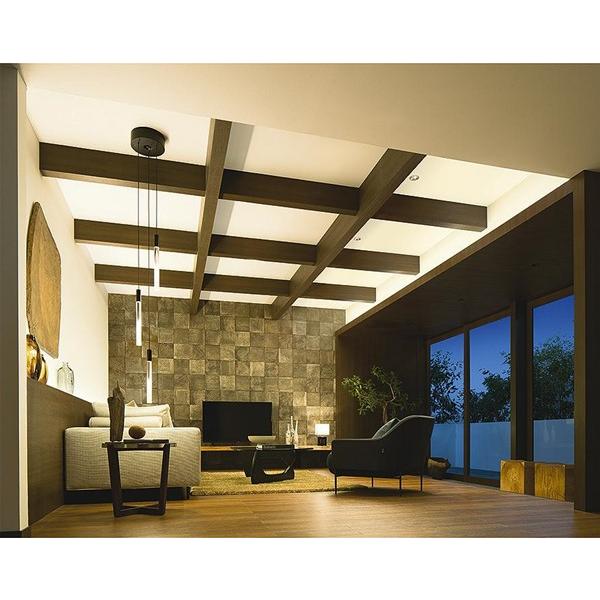 大光電機 DCH-41440Y ダイコー 吹き抜け用ペンダントライト ブラック 3