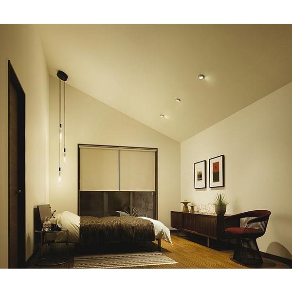 大光電機 DCH-41440Y ダイコー 吹き抜け用ペンダントライト ブラック 3